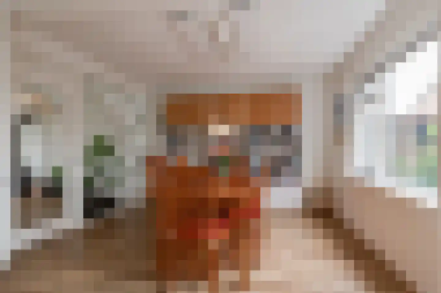 Nieuwsteeg 77 Tricht thumbnail 7