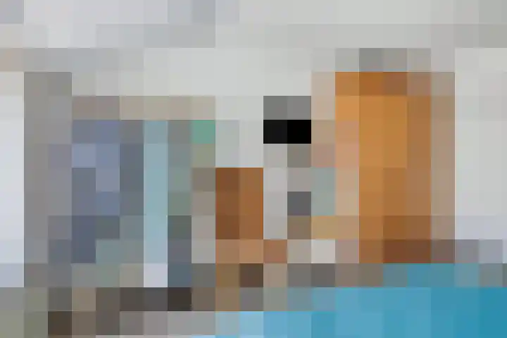 Nieuwstraat 1 A Breskens thumbnail 12