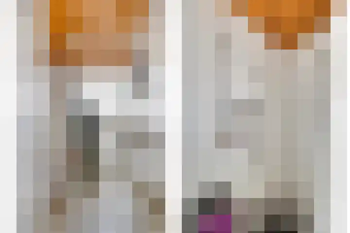 Nieuwstraat 1 A Breskens thumbnail 13
