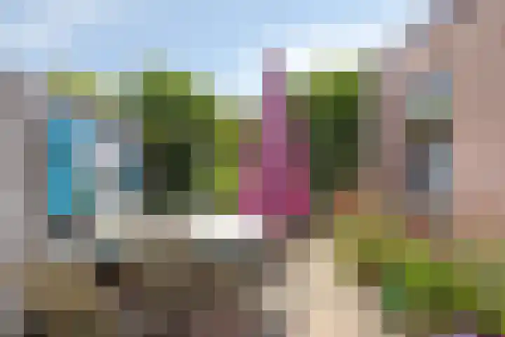 Nieuwstraat 1 A Breskens thumbnail 15