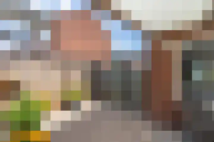 Nieuwstraat 1 a Rijkevoort thumbnail 10