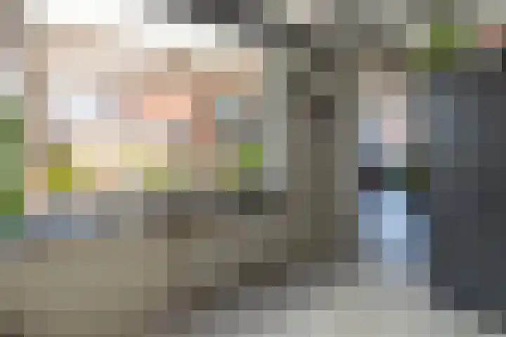 Nieuwstraat 1 a Rijkevoort thumbnail 24
