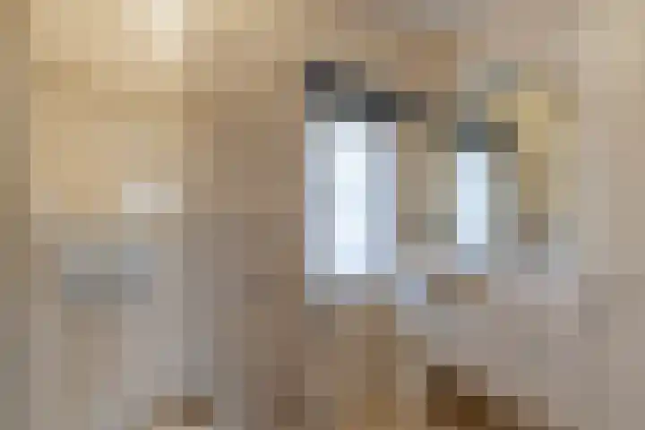 Nieuwstraat 1 a Rijkevoort thumbnail 43
