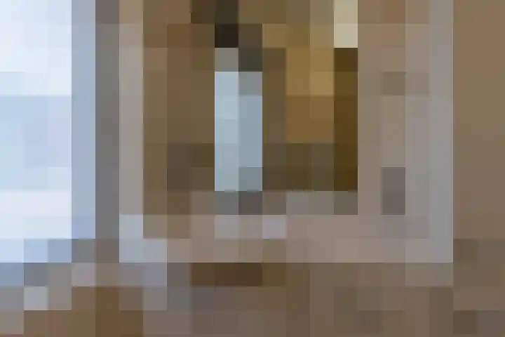 Nieuwstraat 1 a Rijkevoort thumbnail 44