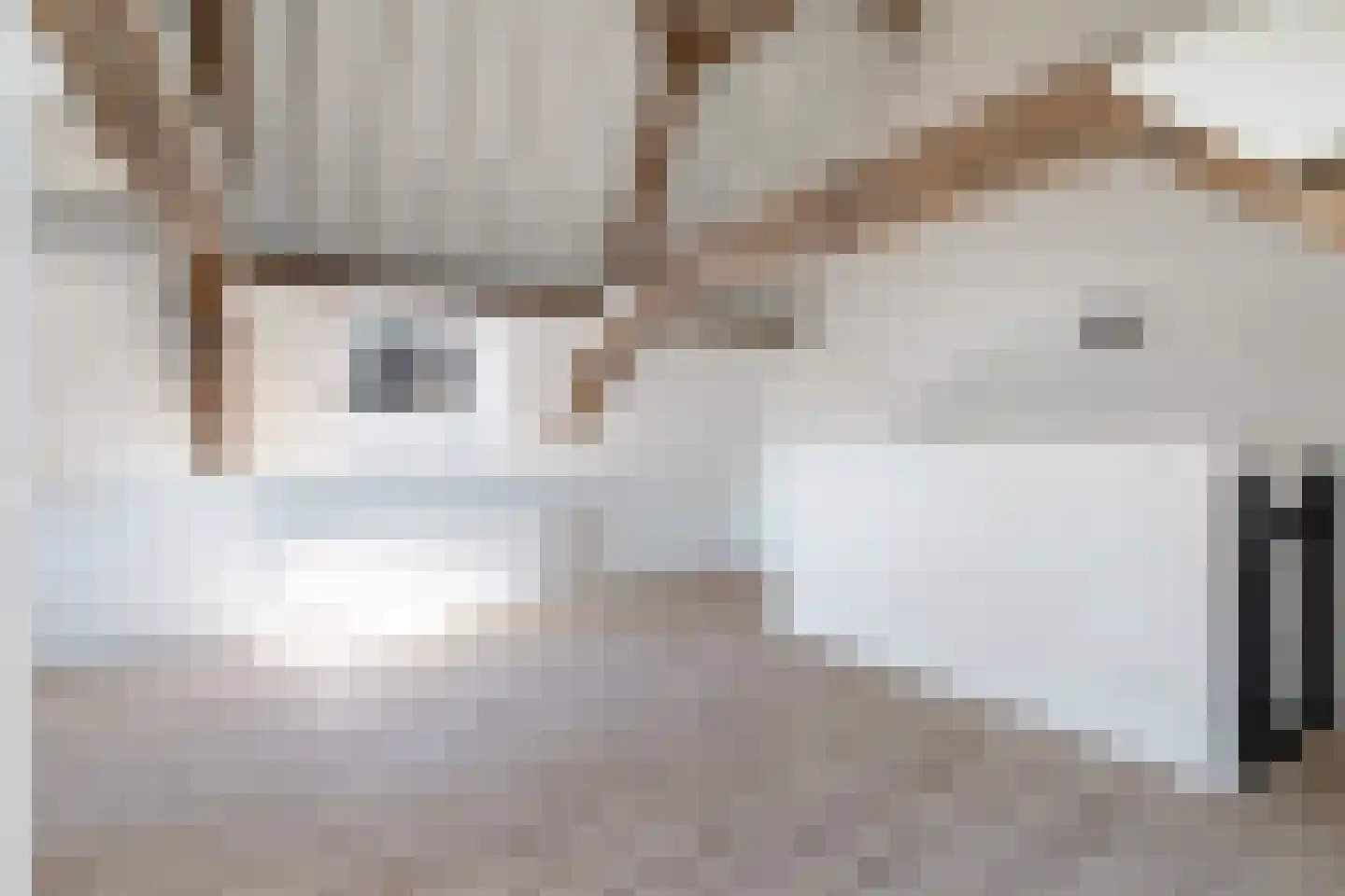 Nieuwstraat 1 B Oudewater thumbnail 10