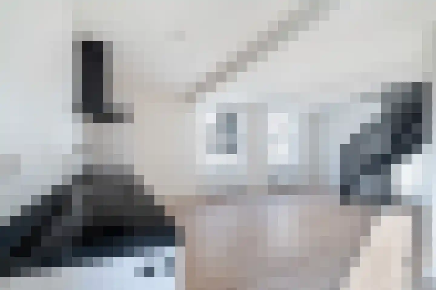 Nieuwstraat 1 B Oudewater thumbnail 4