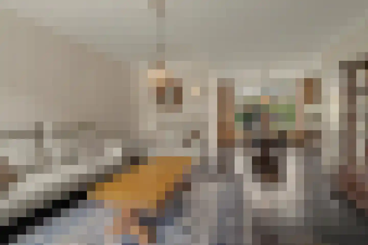 Nieuwstraat 1 C Hapert thumbnail 13