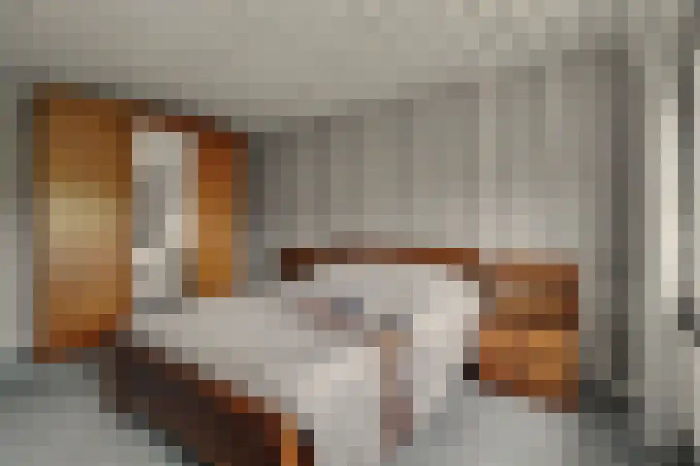 Nieuwstraat 1 C Hapert thumbnail 21