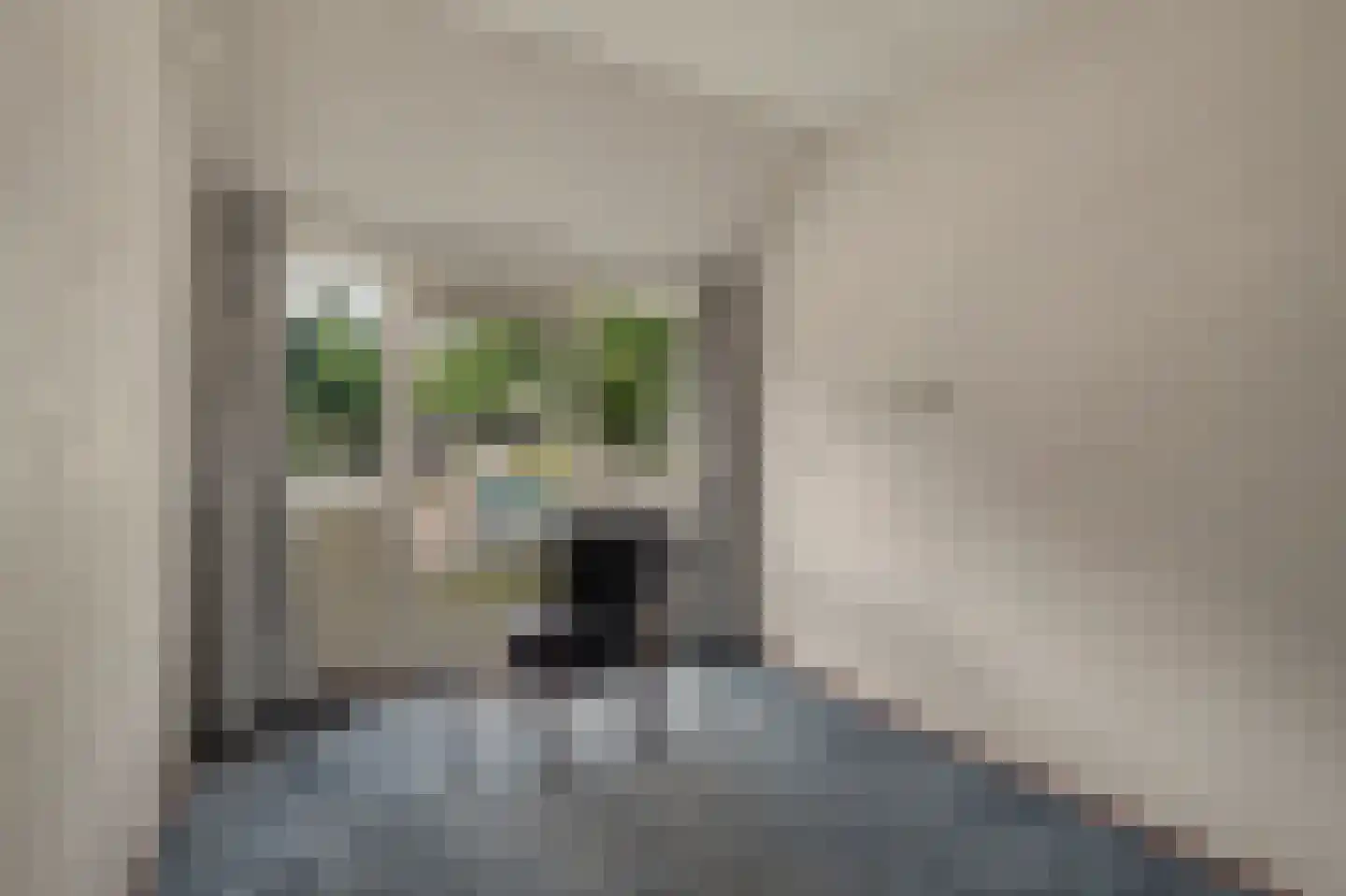 Nieuwstraat 1 C Hapert thumbnail 25