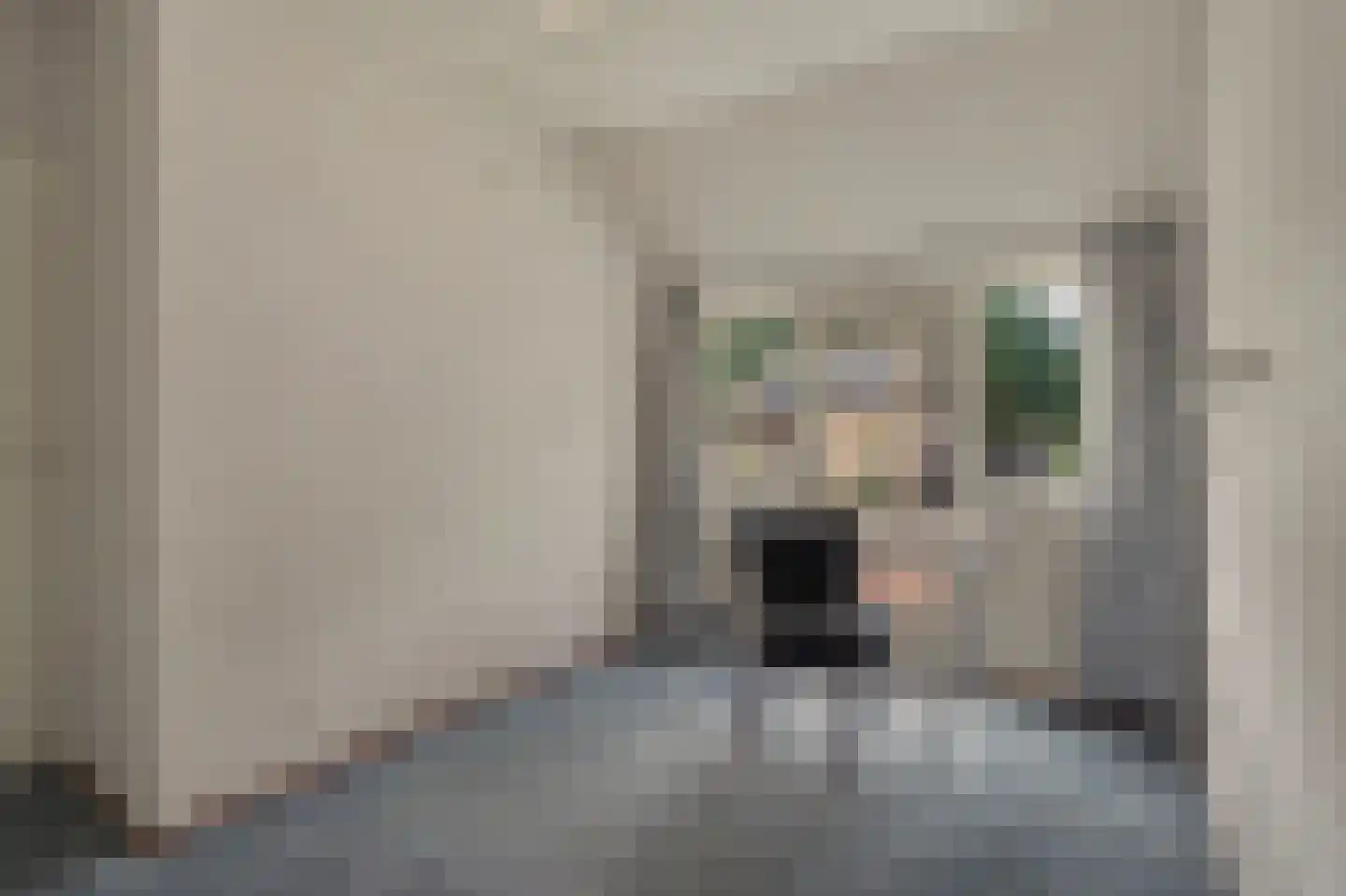 Nieuwstraat 1 C Hapert thumbnail 26