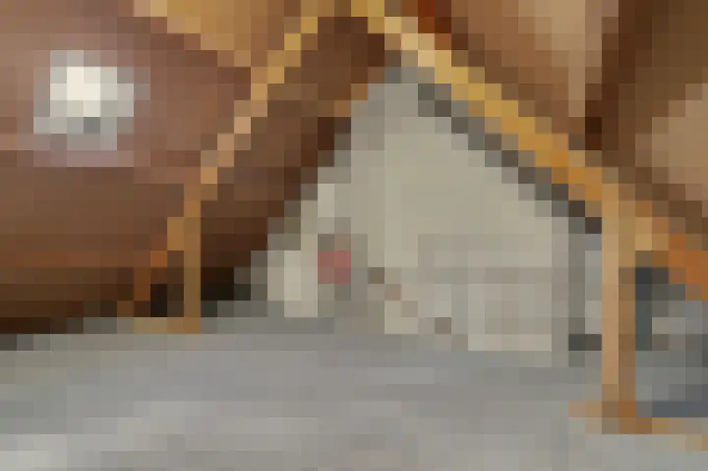 Nieuwstraat 1 C Hapert thumbnail 32