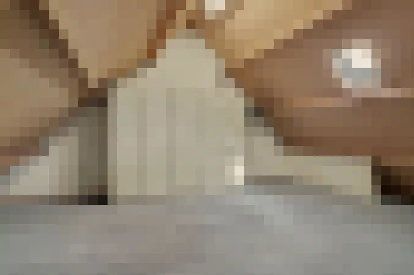 Nieuwstraat 1 C Hapert thumbnail 33