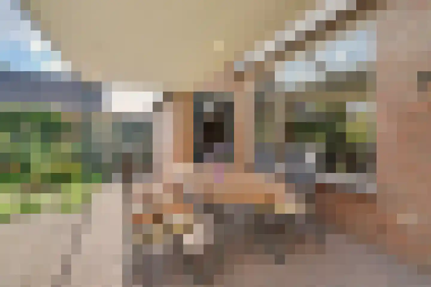Nieuwstraat 1 C Hapert thumbnail 34