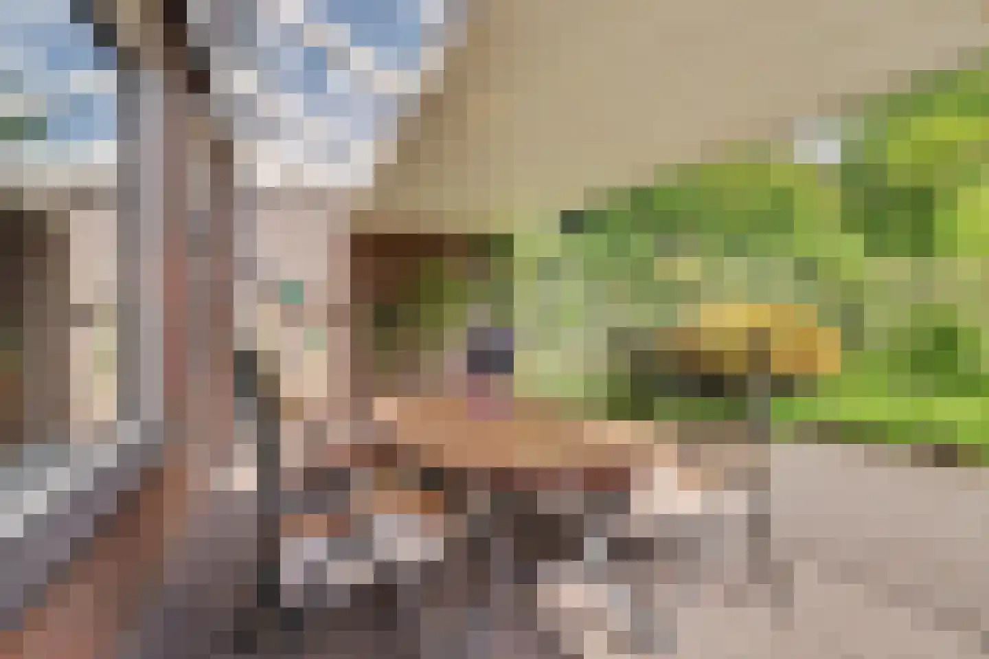 Nieuwstraat 1 C Hapert thumbnail 35