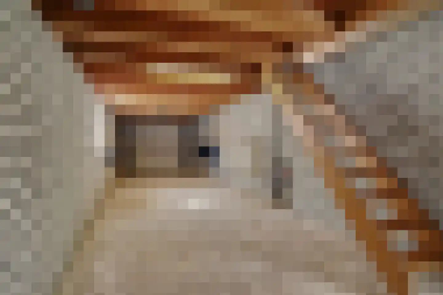 Nieuwstraat 1 C Hapert thumbnail 43
