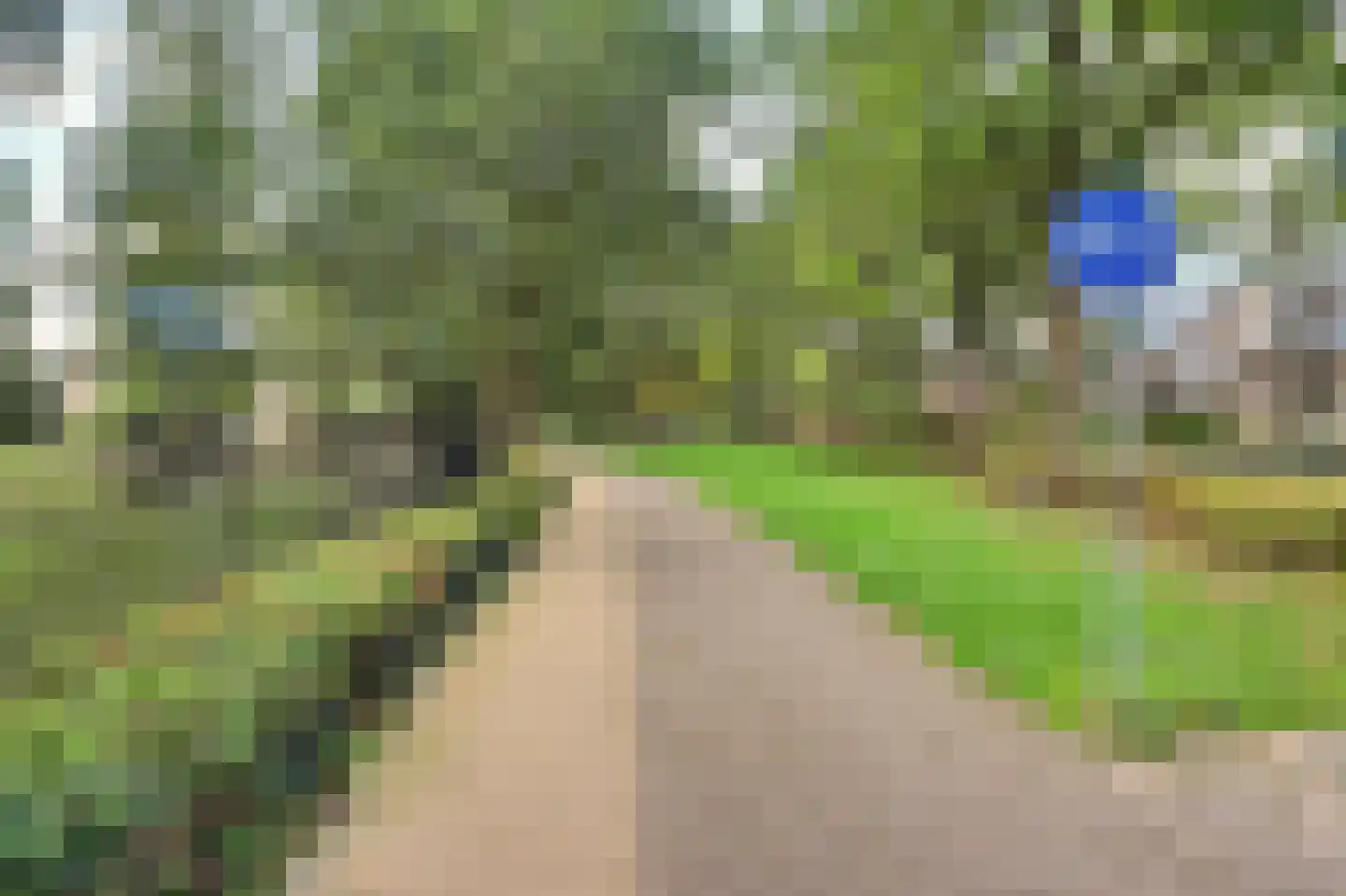Nieuwstraat 1 C Hapert thumbnail 50