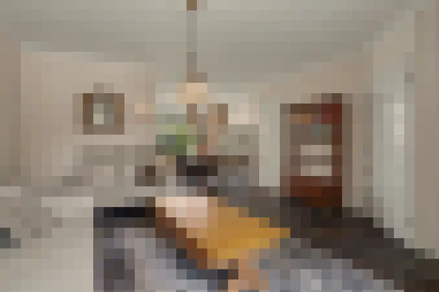 Nieuwstraat 1 C Hapert thumbnail 6