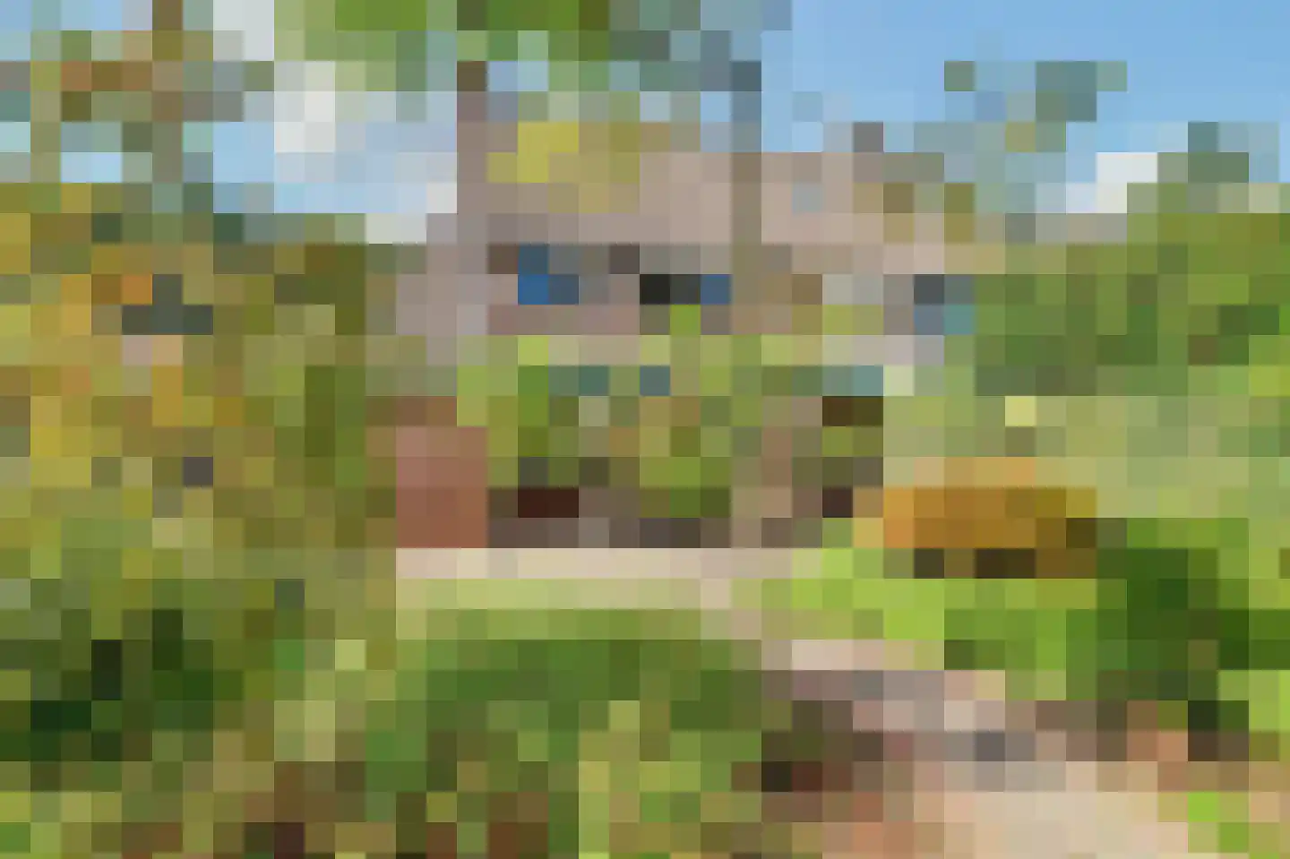 Nieuwstraat 1 C Hapert thumbnail 8