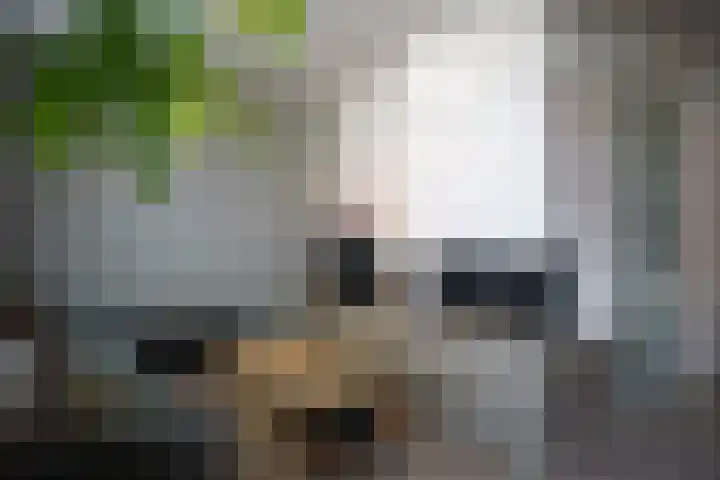 Nieuwstraat 1 Eede thumbnail 10