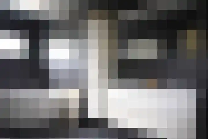 Nieuwstraat 1 Eede thumbnail 18