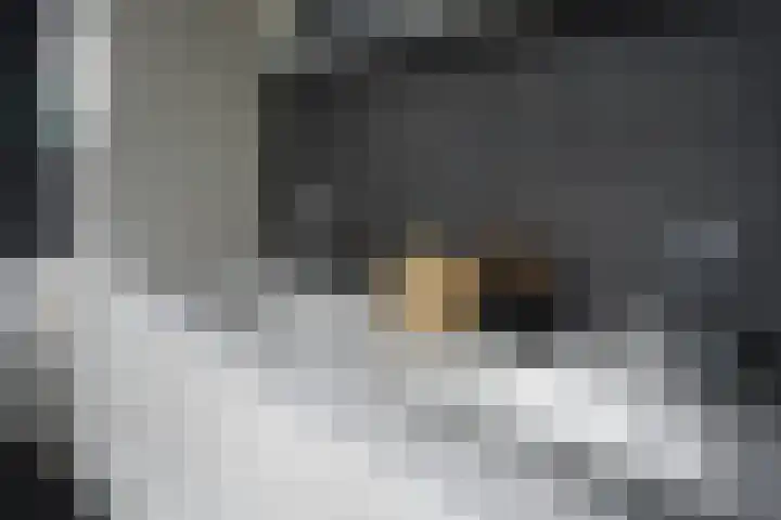 Nieuwstraat 1 Eede thumbnail 19