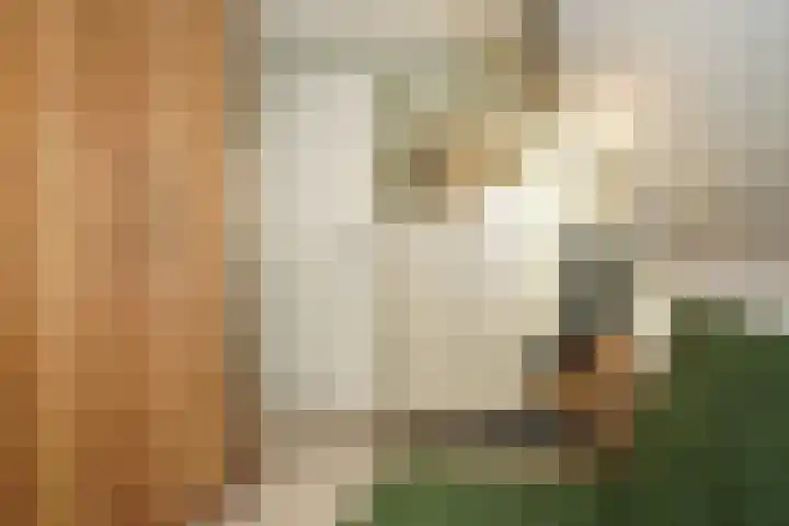 Nieuwstraat 1 Eede thumbnail 26