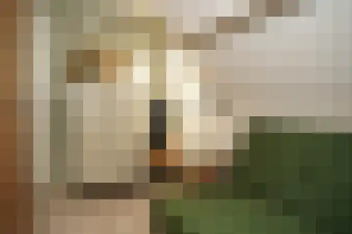 Nieuwstraat 1 Eede thumbnail 27