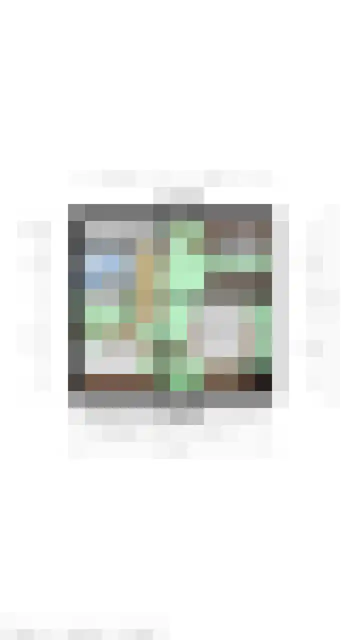 Nieuwstraat 1 Eede thumbnail 30