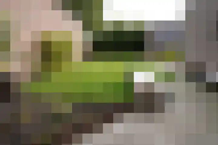 Nieuwstraat 1 Eede thumbnail 33