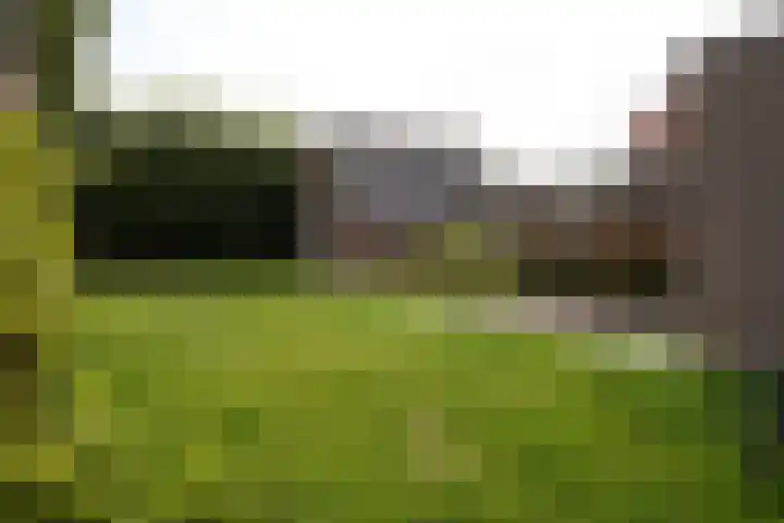 Nieuwstraat 1 Eede thumbnail 34