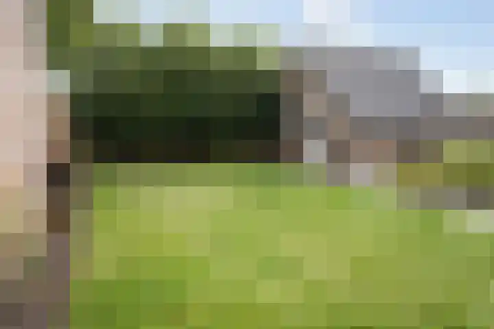 Nieuwstraat 1 Eede thumbnail 35