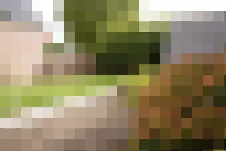 Nieuwstraat 1 Eede thumbnail 36