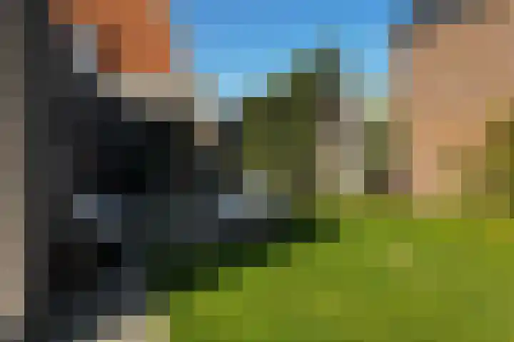 Nieuwstraat 1 Eede thumbnail 37