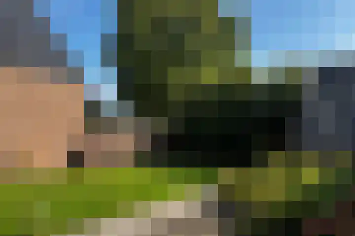 Nieuwstraat 1 Eede thumbnail 39