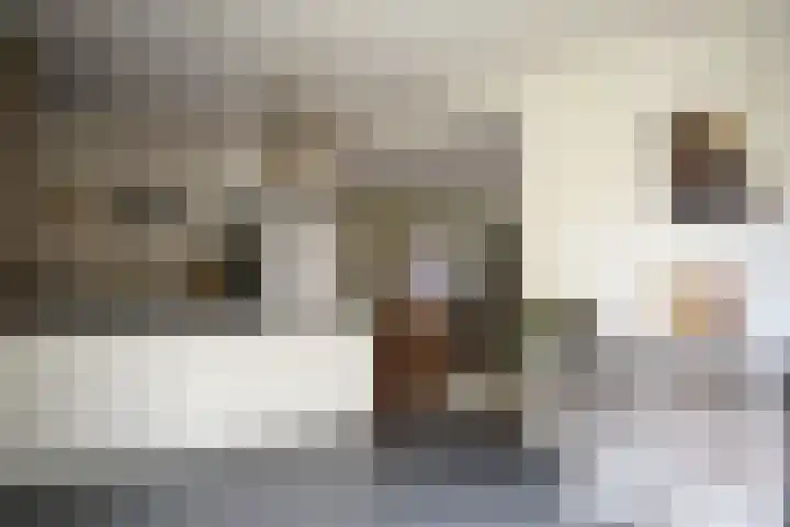 Nieuwstraat 1 Eede thumbnail 4