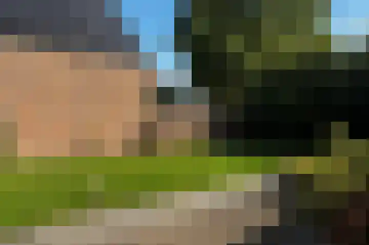 Nieuwstraat 1 Eede thumbnail 40