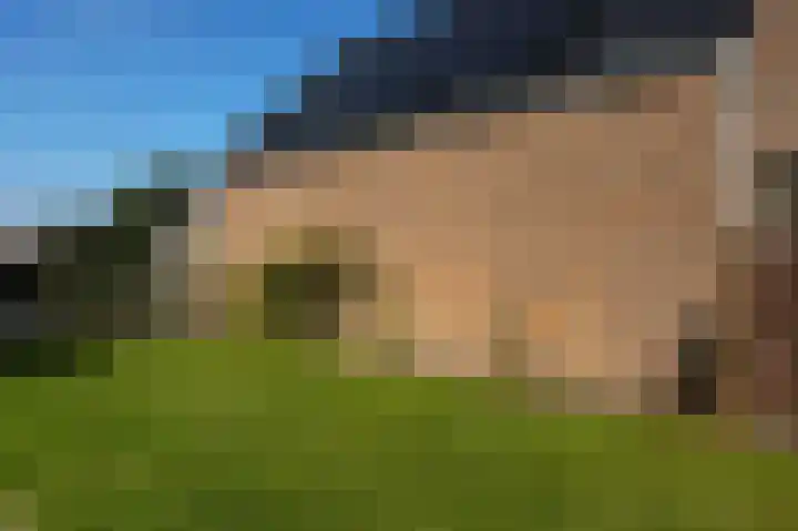 Nieuwstraat 1 Eede thumbnail 41