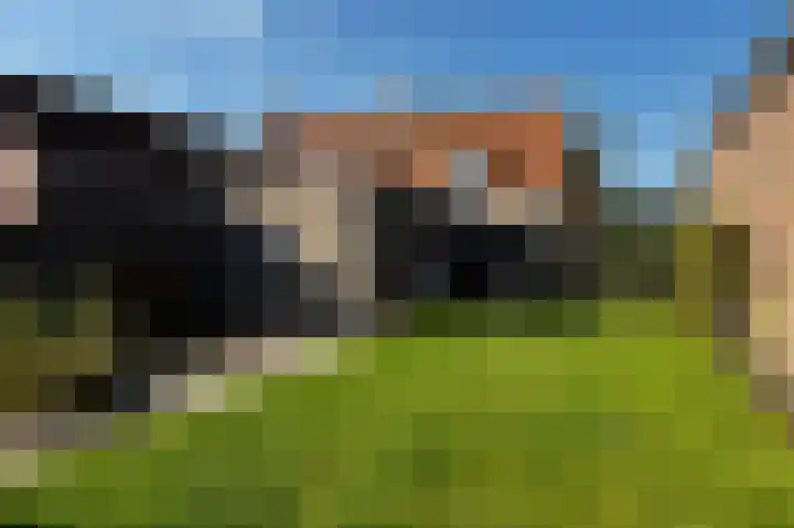 Nieuwstraat 1 Eede thumbnail 43