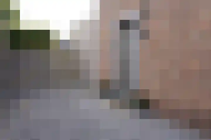 Nieuwstraat 1 Eede thumbnail 45