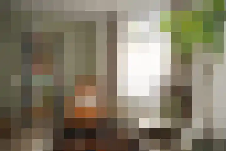 Nieuwstraat 1 Eede thumbnail 8