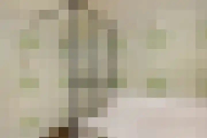 Nieuwstraat 1 Emmen thumbnail 16