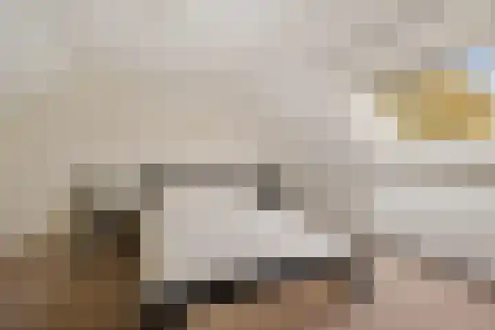Nieuwstraat 1 Emmen thumbnail 23