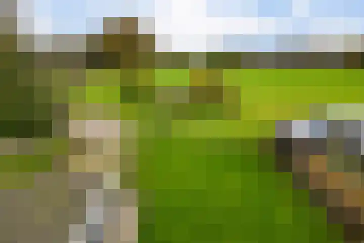 Nieuwstraat 1 Emmen thumbnail 33