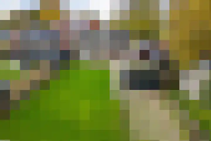 Nieuwstraat 1 Emmen thumbnail 34