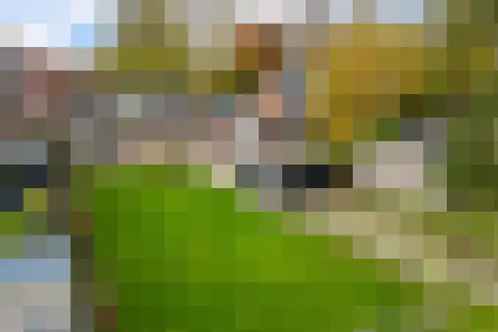 Nieuwstraat 1 Emmen thumbnail 35