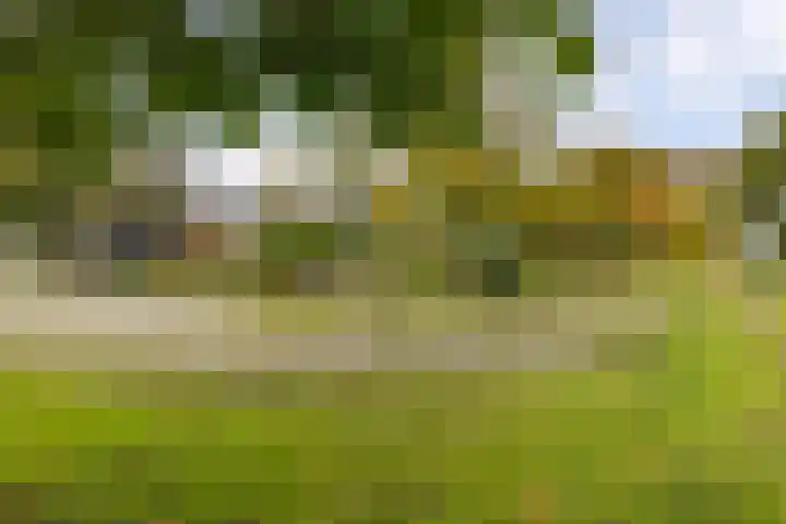 Nieuwstraat 1 Emmen thumbnail 37