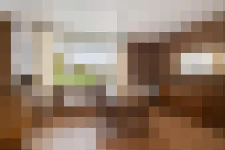 Nieuwstraat 1 Emmen thumbnail 8