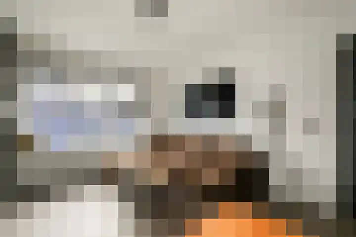 Nieuwstraat 1 F Leidschendam thumbnail 11