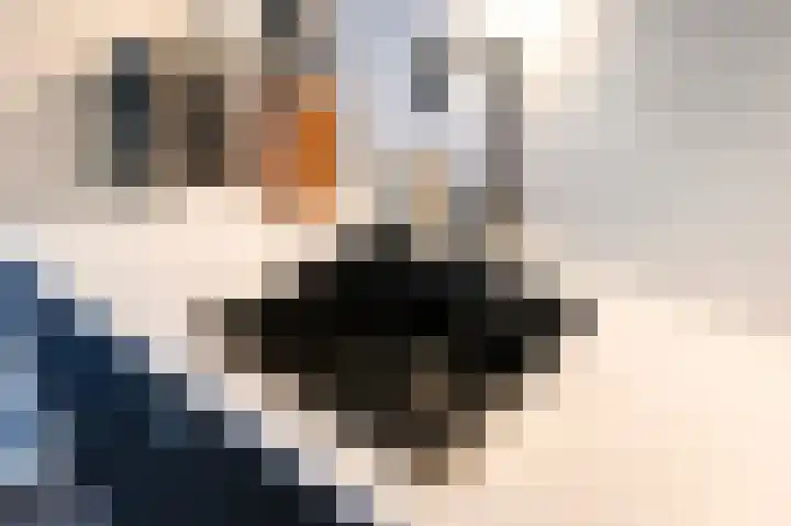 Nieuwstraat 1 F Leidschendam thumbnail 15