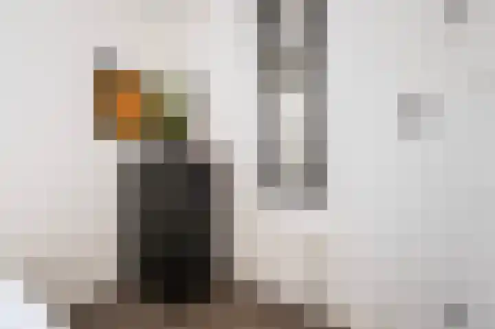 Nieuwstraat 1 F Leidschendam thumbnail 20